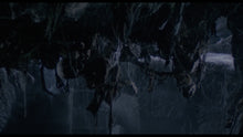 Load image into Gallery viewer, City of the Living Dead (a.k.a. The Gates of Hell)(UHD/BD/BD) 3 Disc Retail Edition