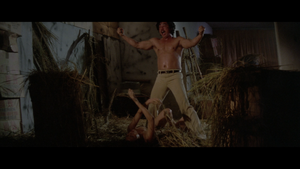 Kill Butterfly Kill / American Commando 6 (Limited 2 disc Blu-ray w/ Slipcover)(Neon Eagle Video)