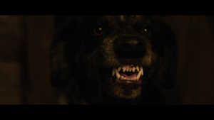 Sator (Limited Blu-ray w/ Slipcase)