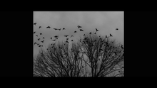 Load image into Gallery viewer, Sator (Limited Blu-ray w/ Slipcase)